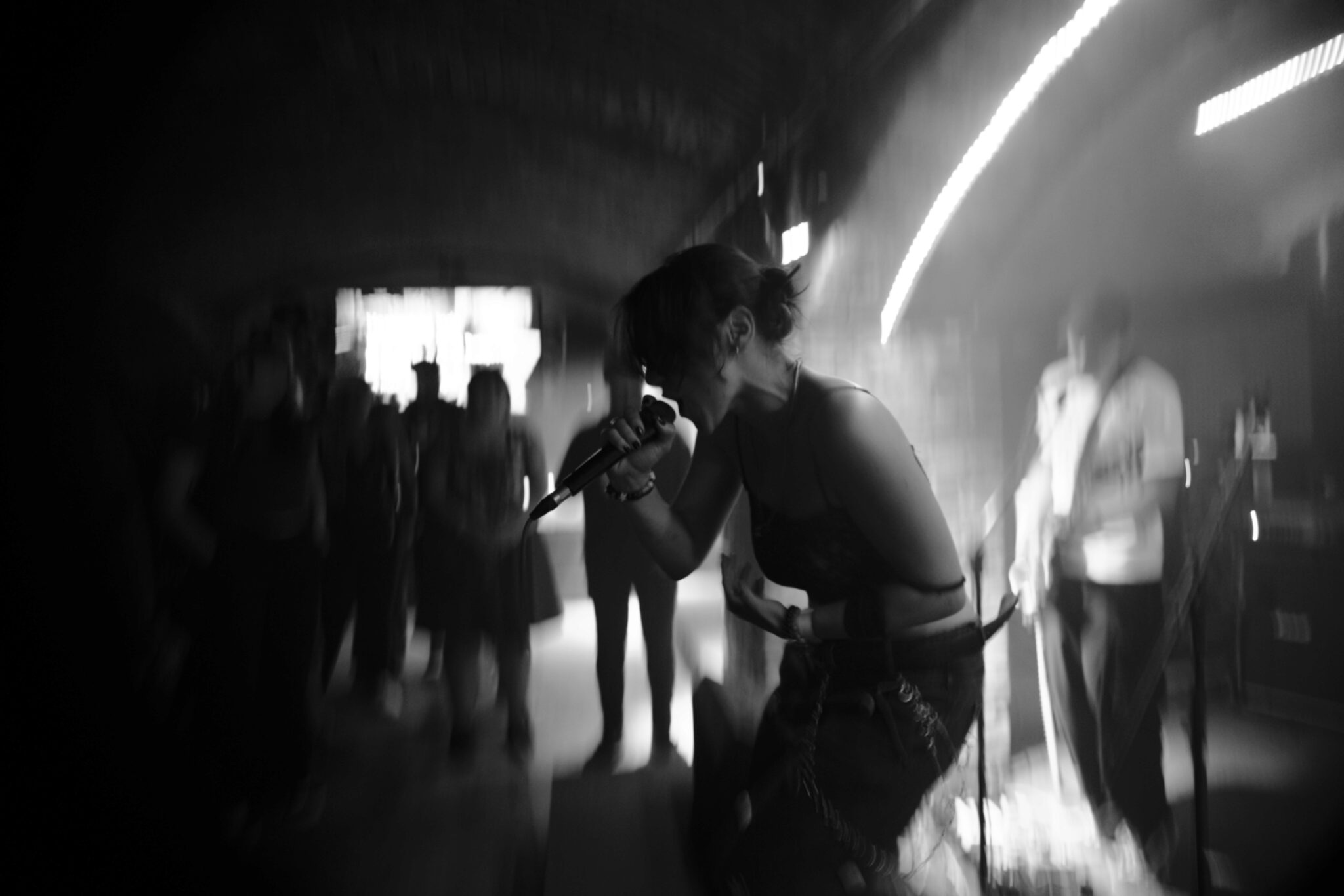 fotka Ztráty v Plusu číslo 0.jpg